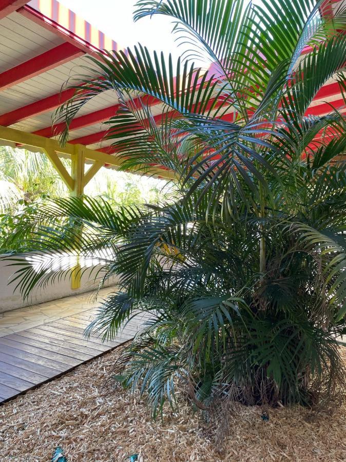 Jardin Sur Mer Terre-De-Haut Exteriér fotografie