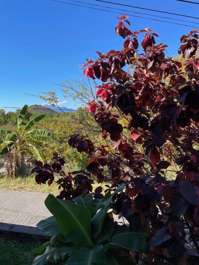 Jardin Sur Mer Terre-De-Haut Exteriér fotografie