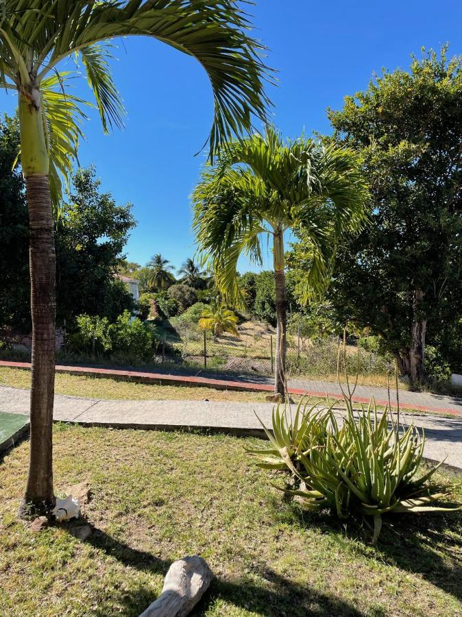 Jardin Sur Mer Terre-De-Haut Exteriér fotografie