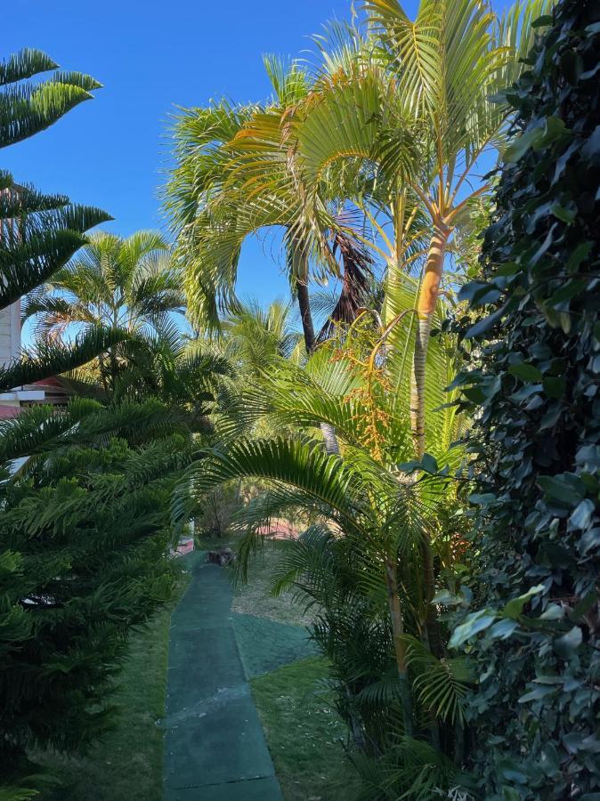 Jardin Sur Mer Terre-De-Haut Exteriér fotografie