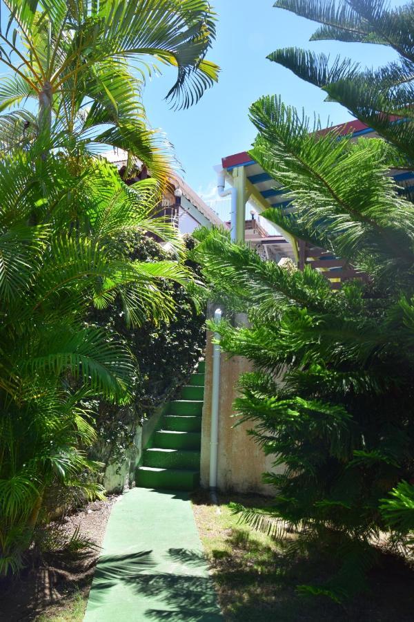 Jardin Sur Mer Terre-De-Haut Exteriér fotografie