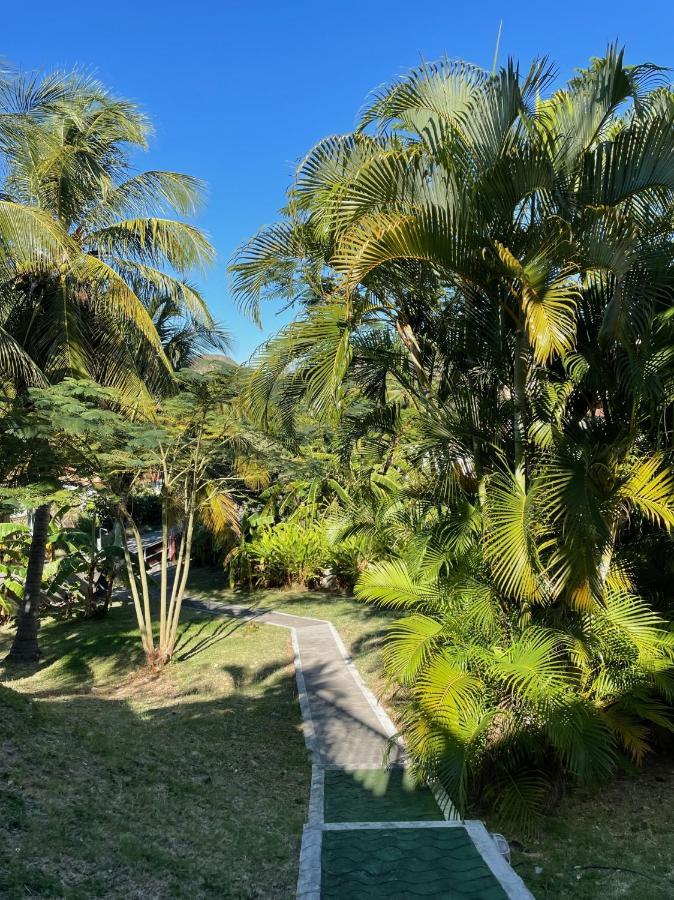 Jardin Sur Mer Terre-De-Haut Exteriér fotografie