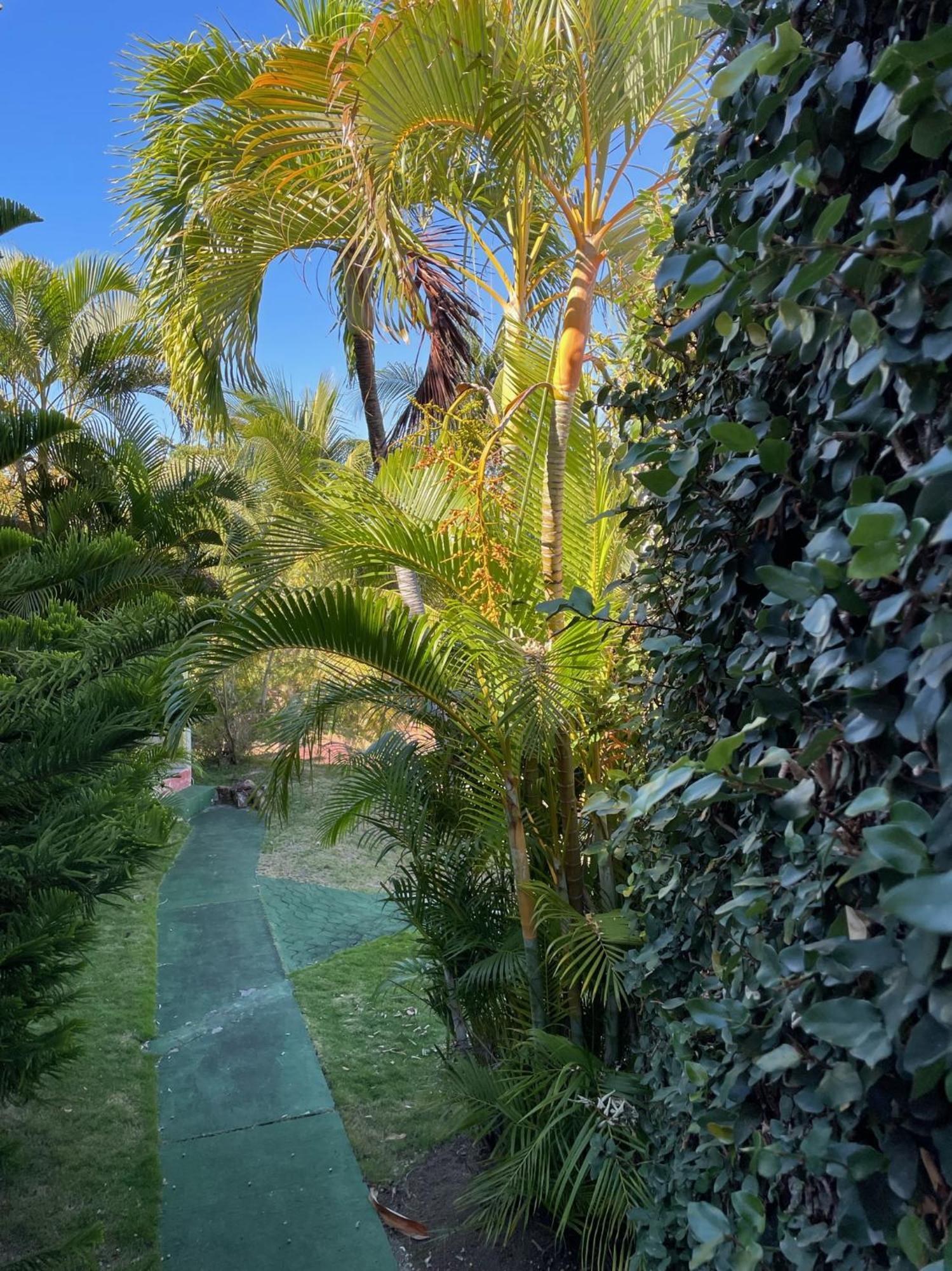 Jardin Sur Mer Terre-De-Haut Exteriér fotografie